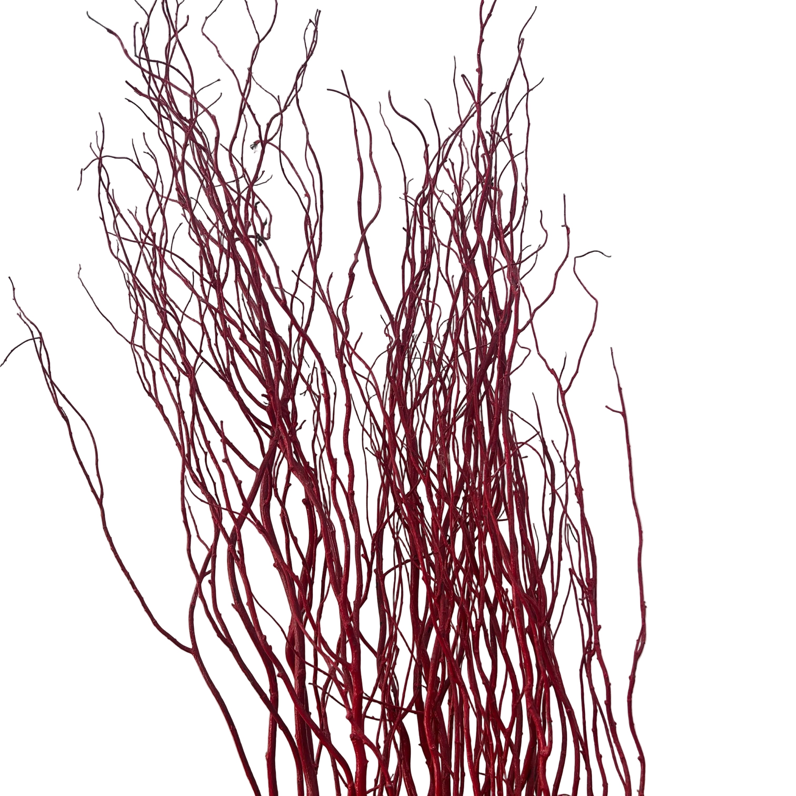 Red salix branches against a light background