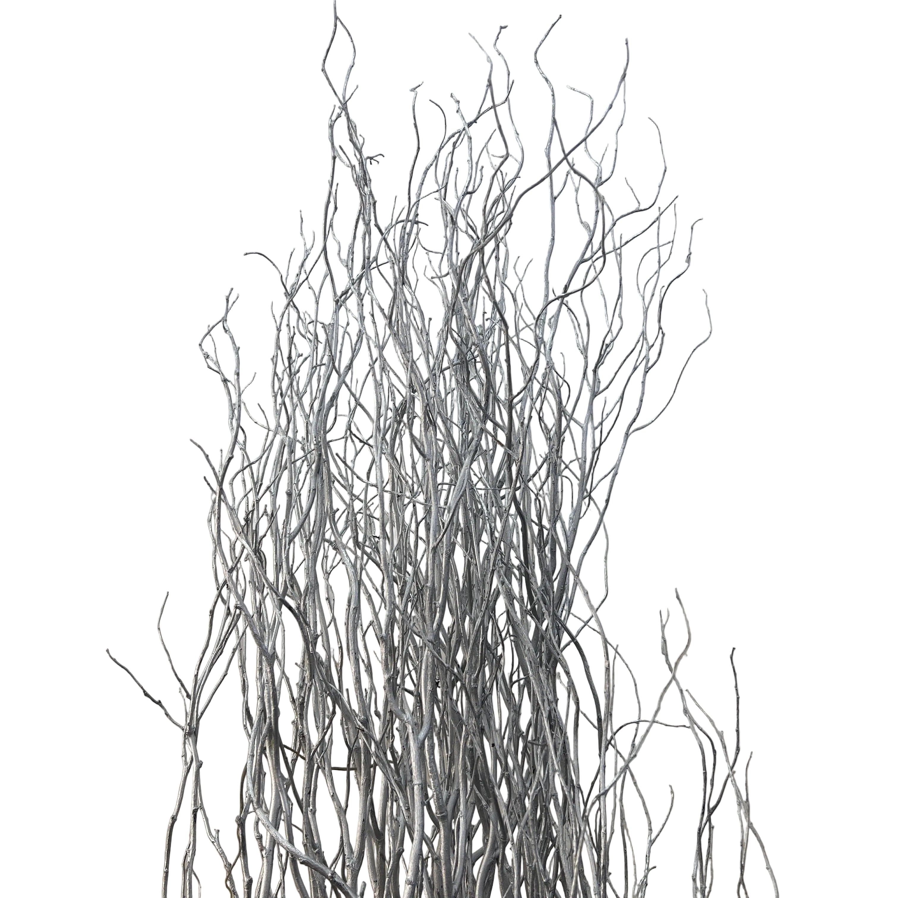 Artistic depiction of intertwine salix branches on a textured beige background