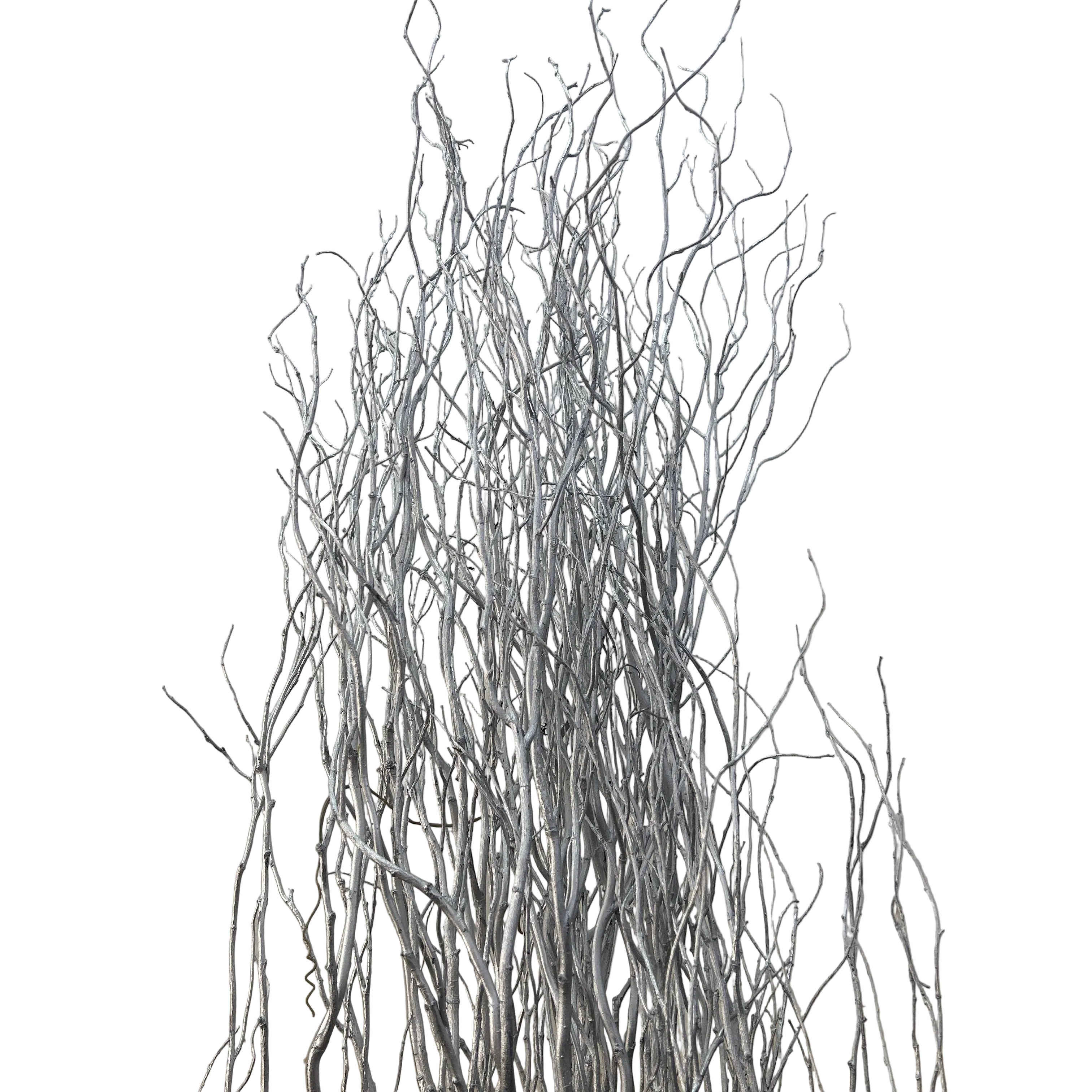 Artistic depiction of intertwined silver salix branches on a textured beige background