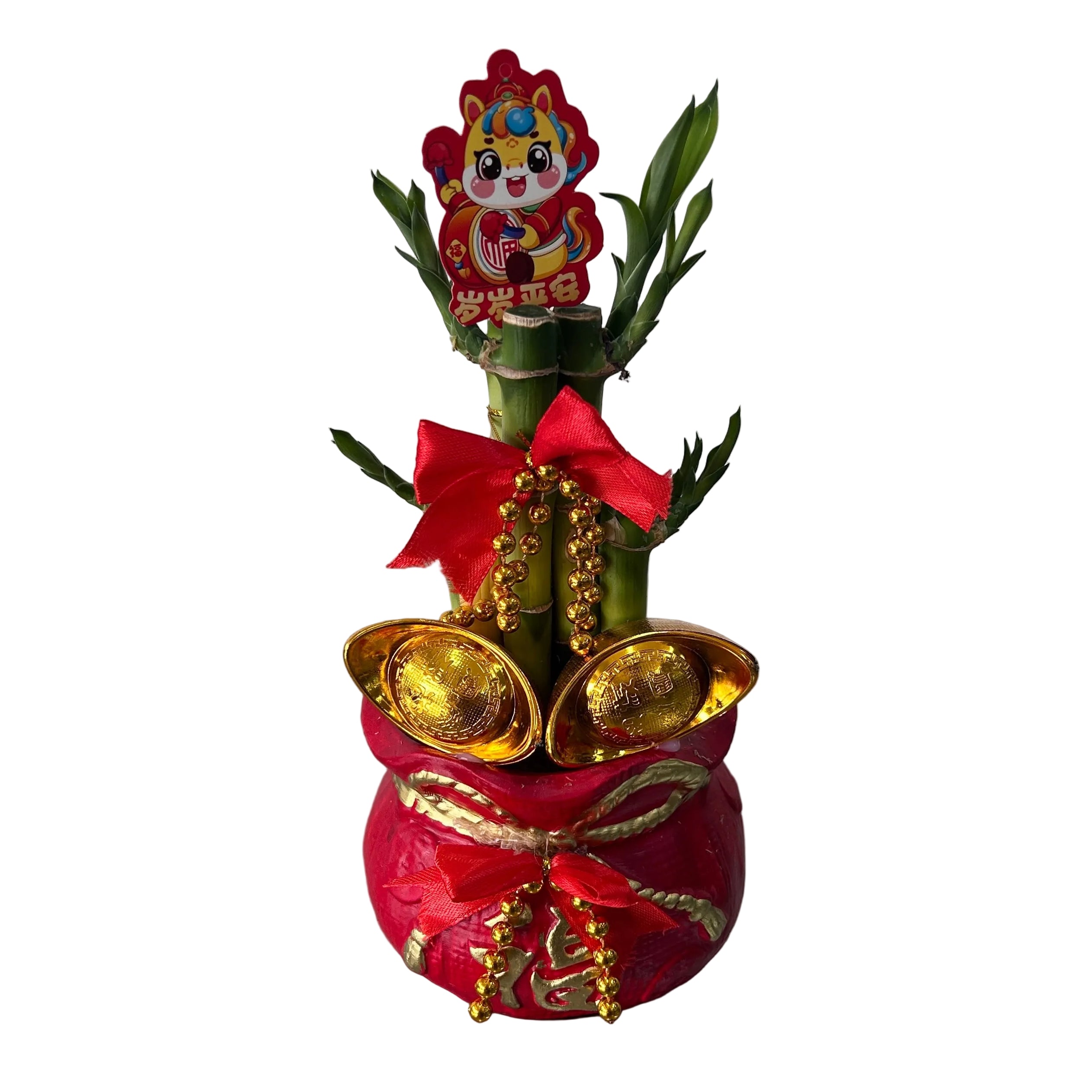 lucky bamboo in fortune pot bag