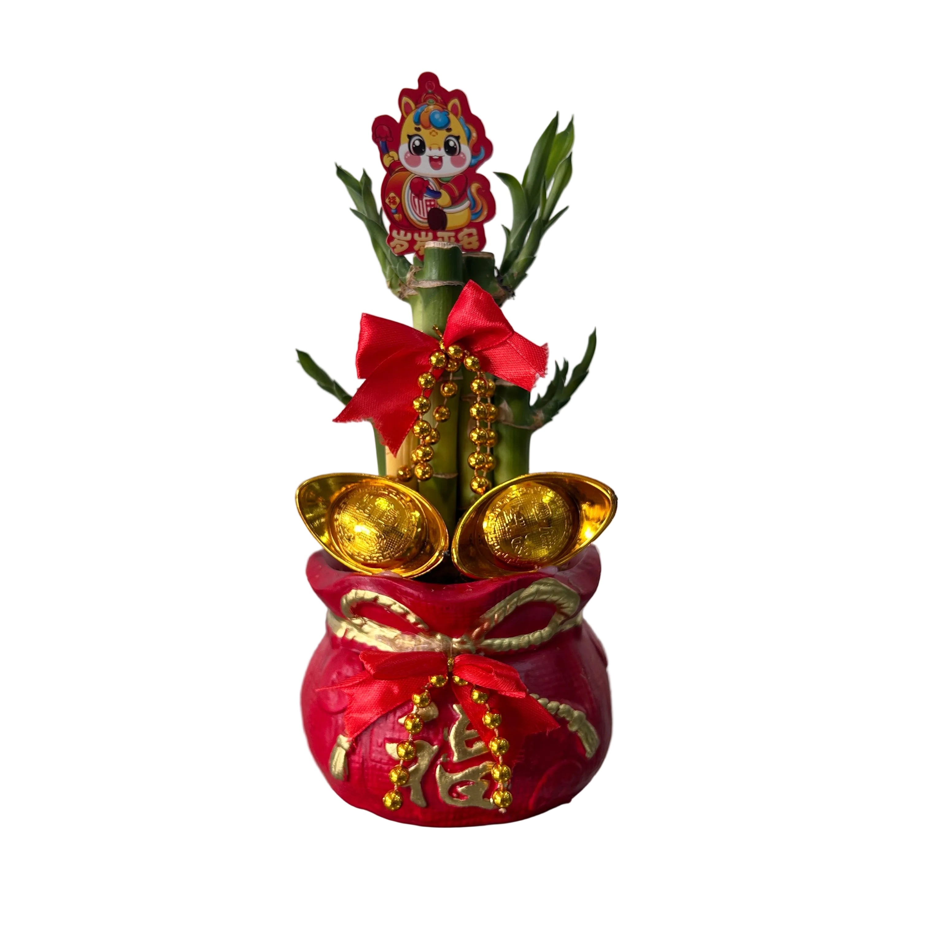 lucky bamboo in fortune pot bag