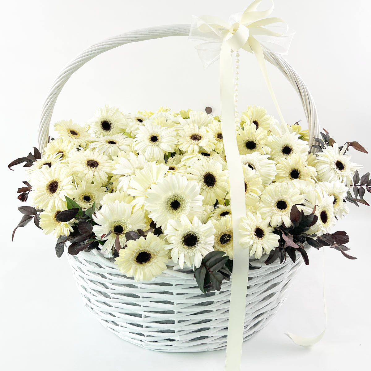 Full front view of the grand Bianca white woven flower basket filled with white gerberas and dark foliage.