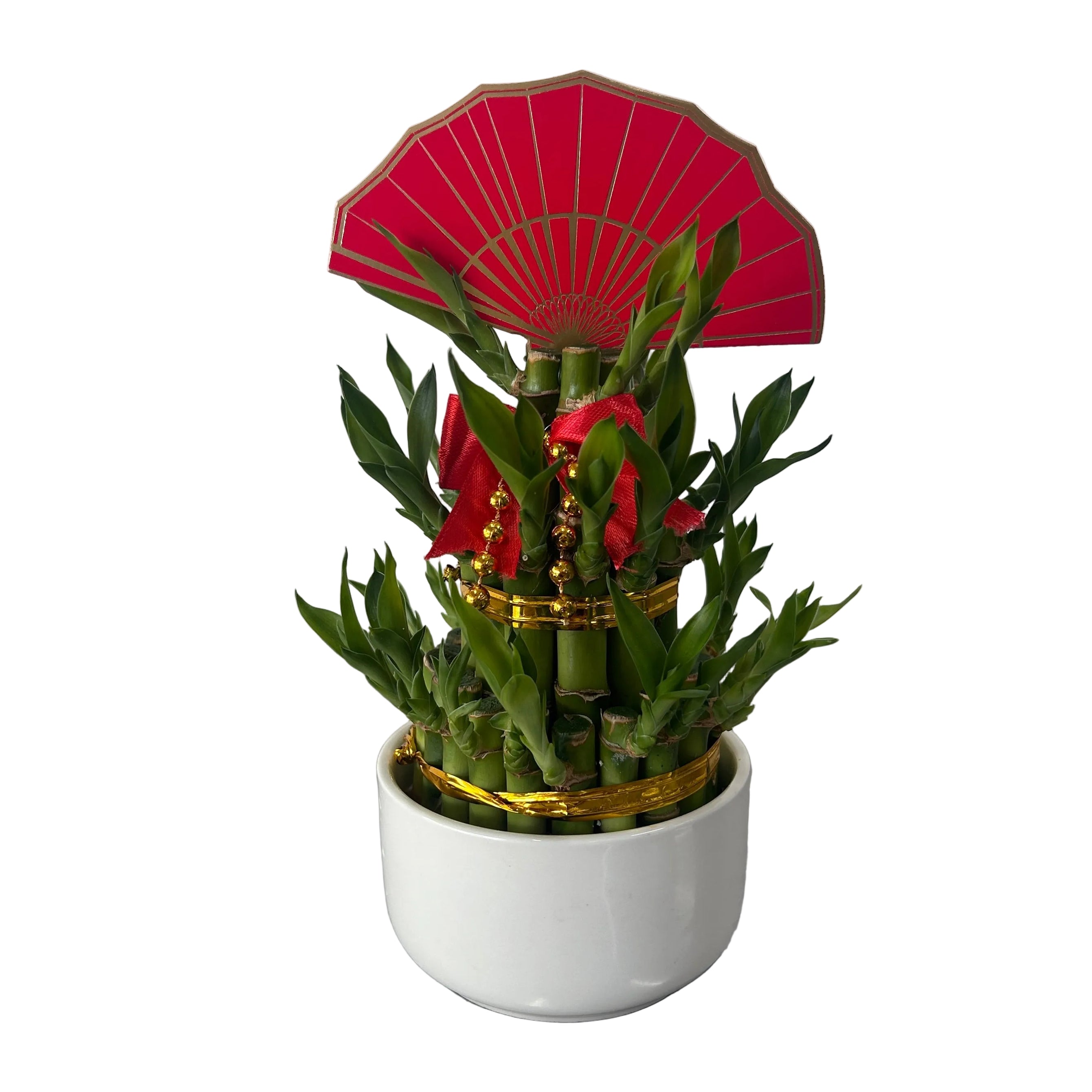 Potted bamboo plant with a red parasol and gold accents on a gray surface.