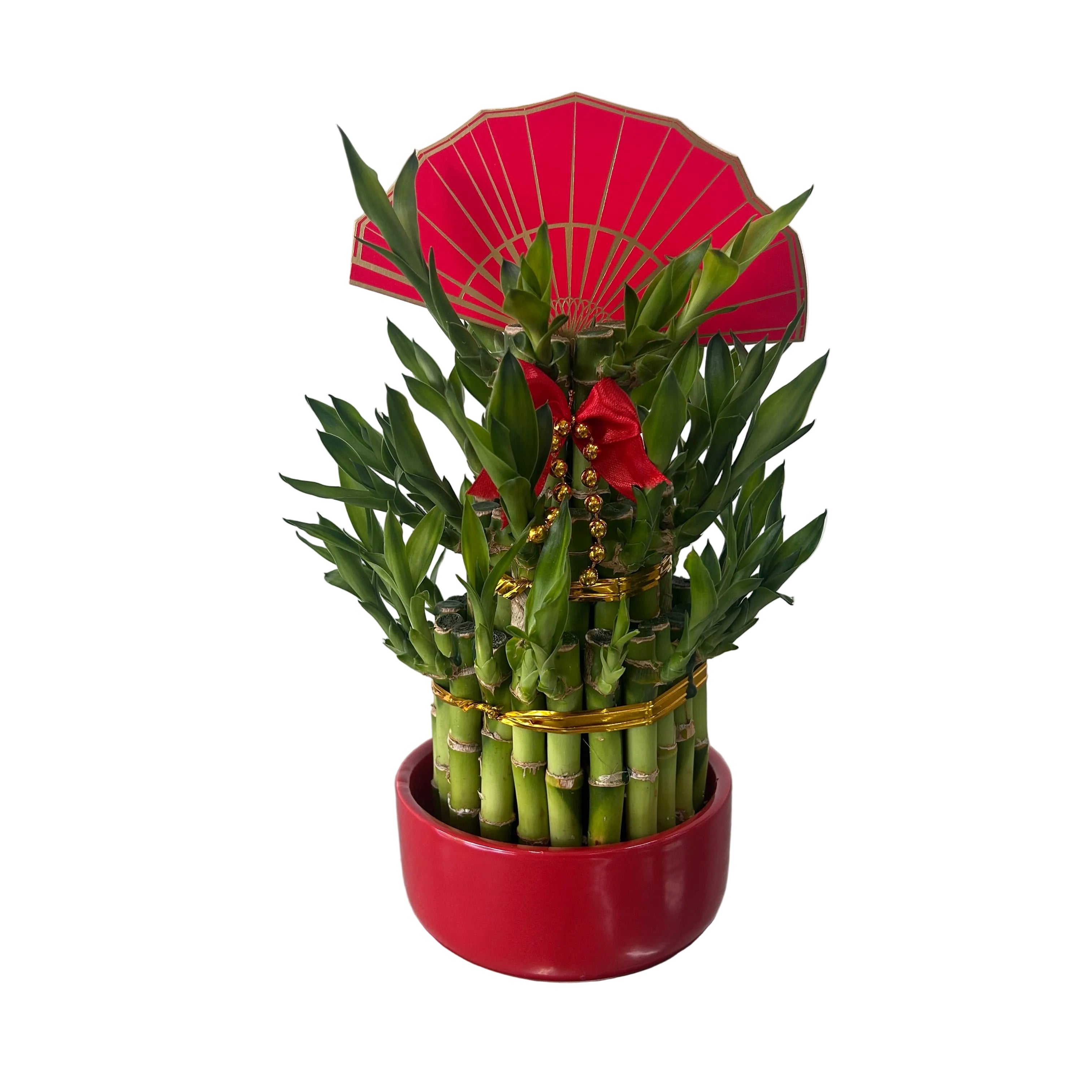 Potted bamboo plant with red decorative elements on a white background