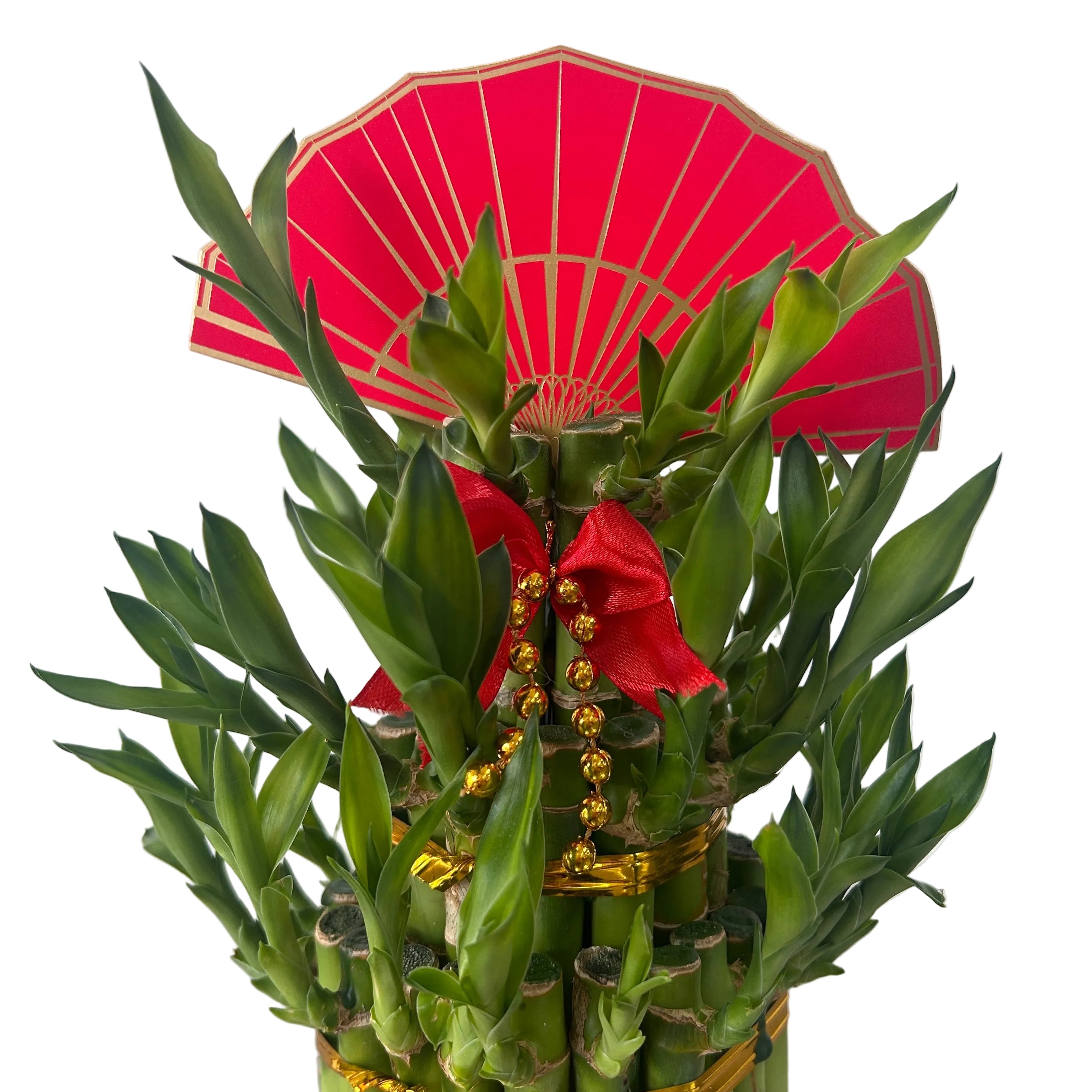 Bamboo plant with red parasol and decorative elements on a white background