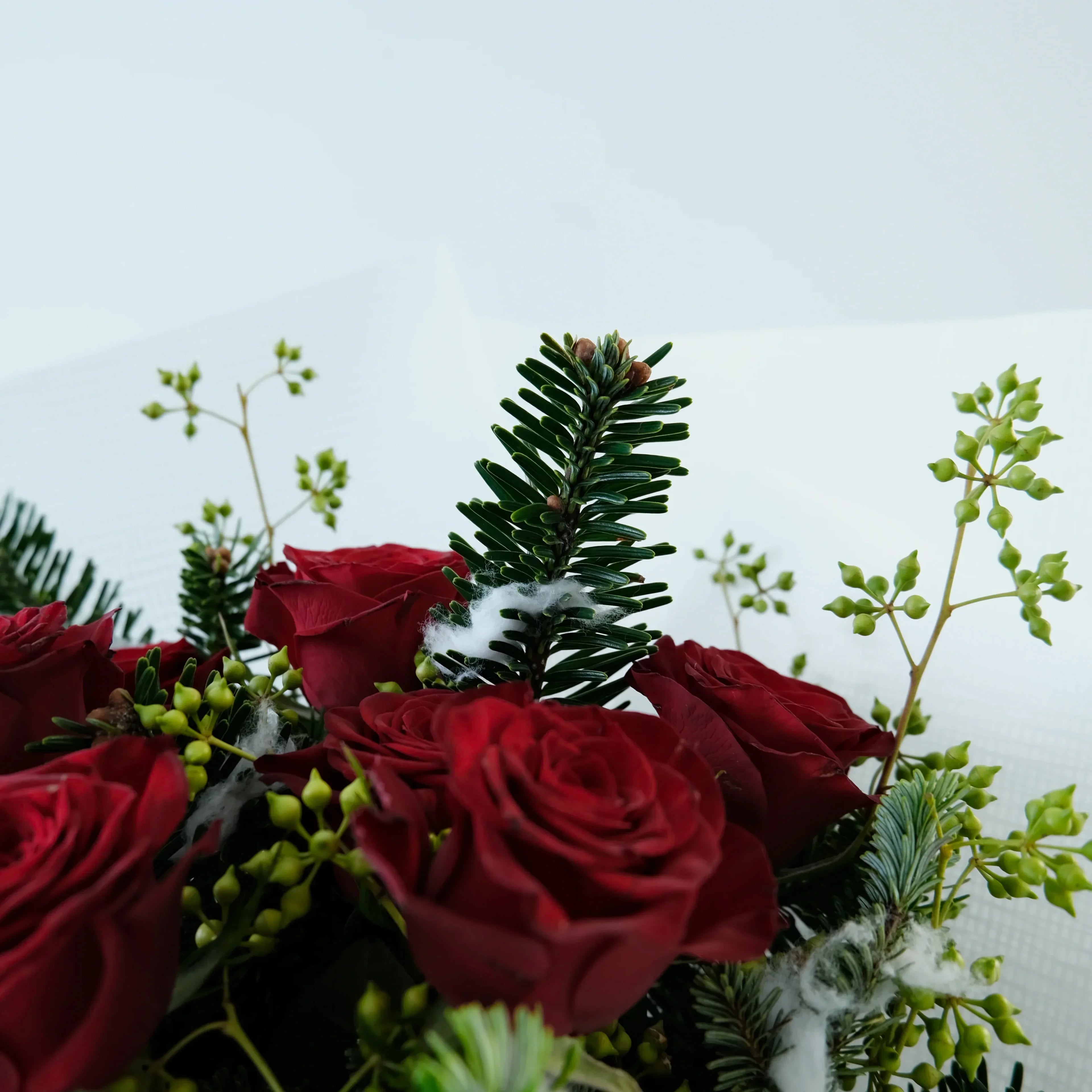 Bouquet of red roses with greenery on a light background