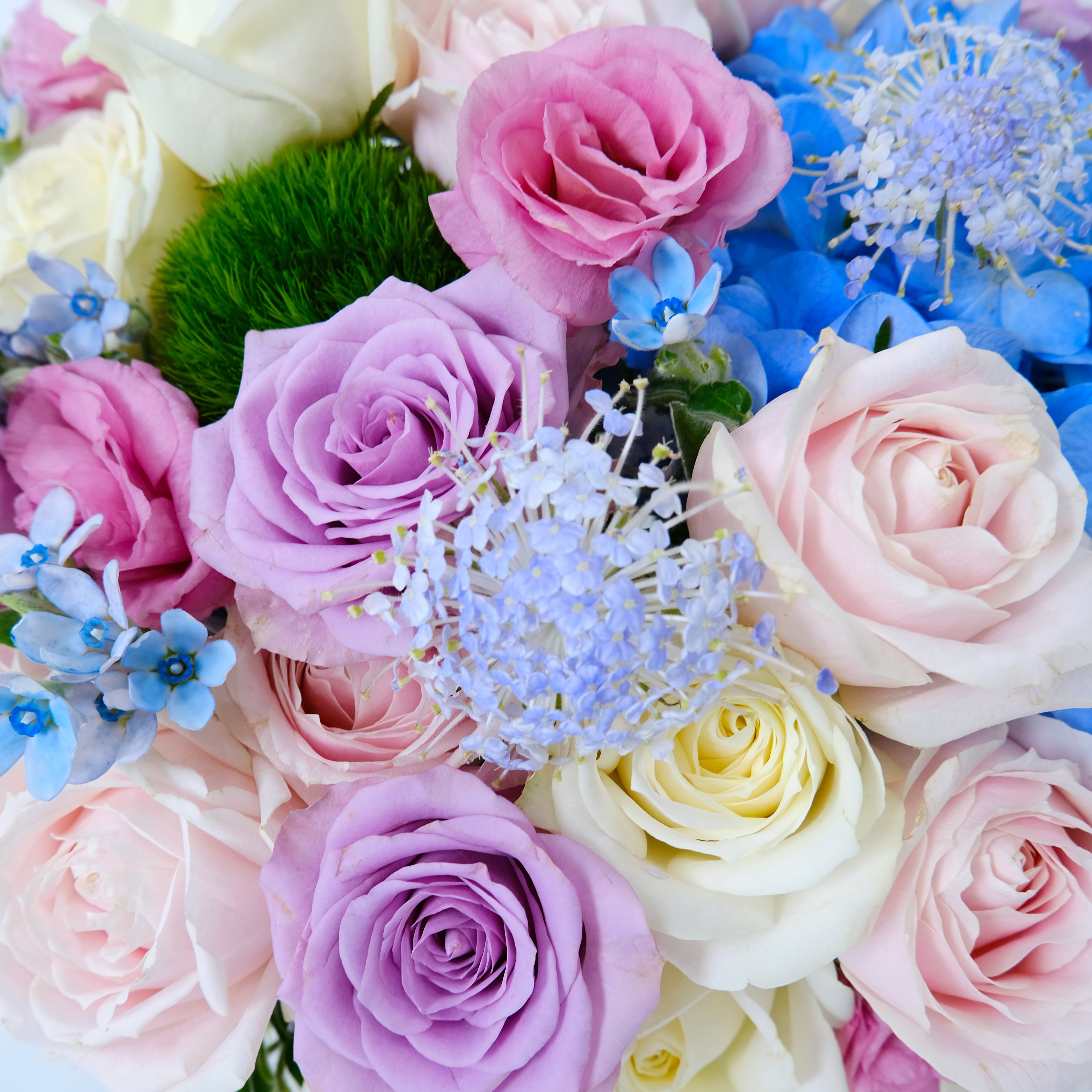 Bouquet of colorful roses and decorative flowers on a white background
