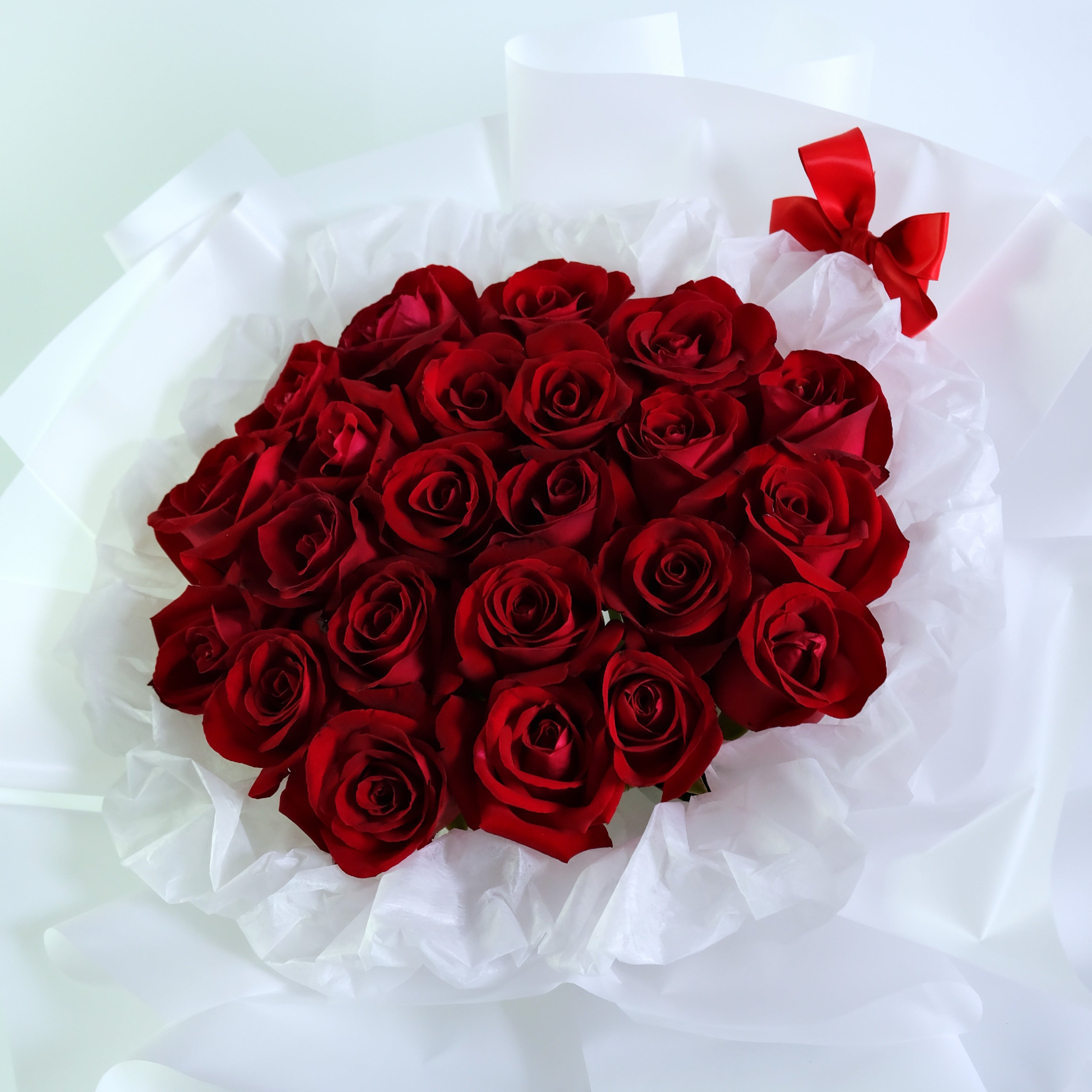Bouquet of red roses with a white ribbon on a light green background
