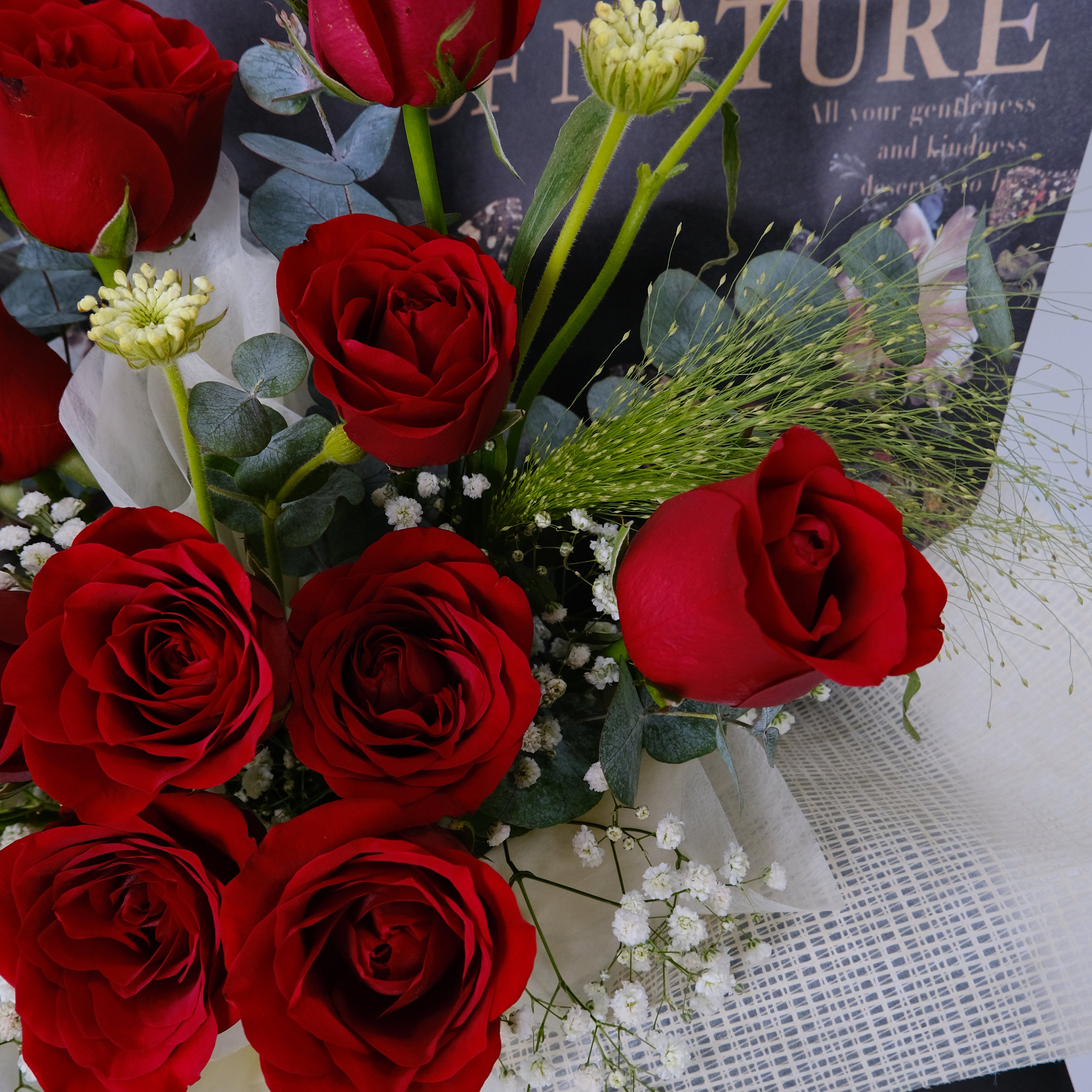 Bouquet of red roses with greenery on a magazine background