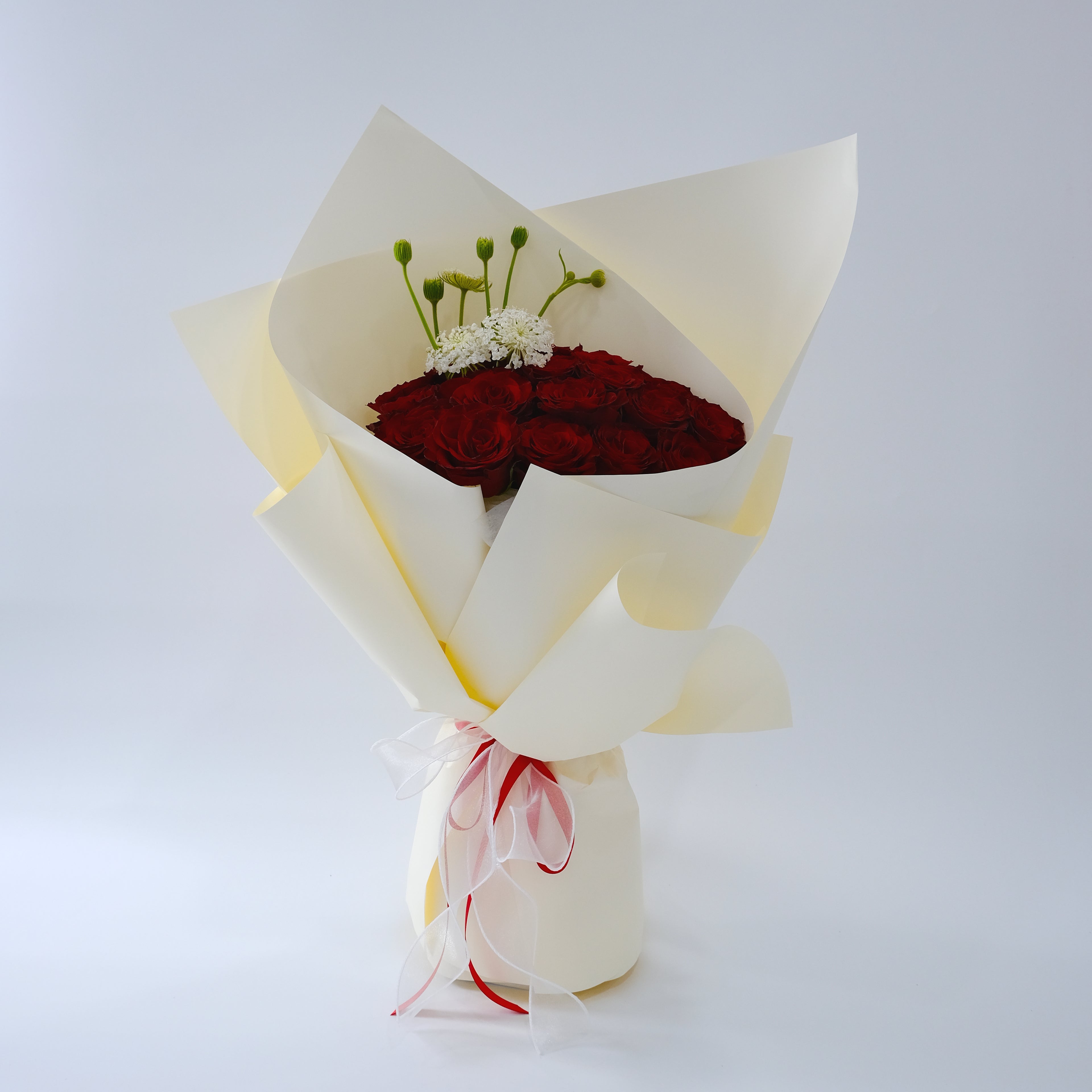 Bouquet of red roses wrapped in white paper on a light gray background