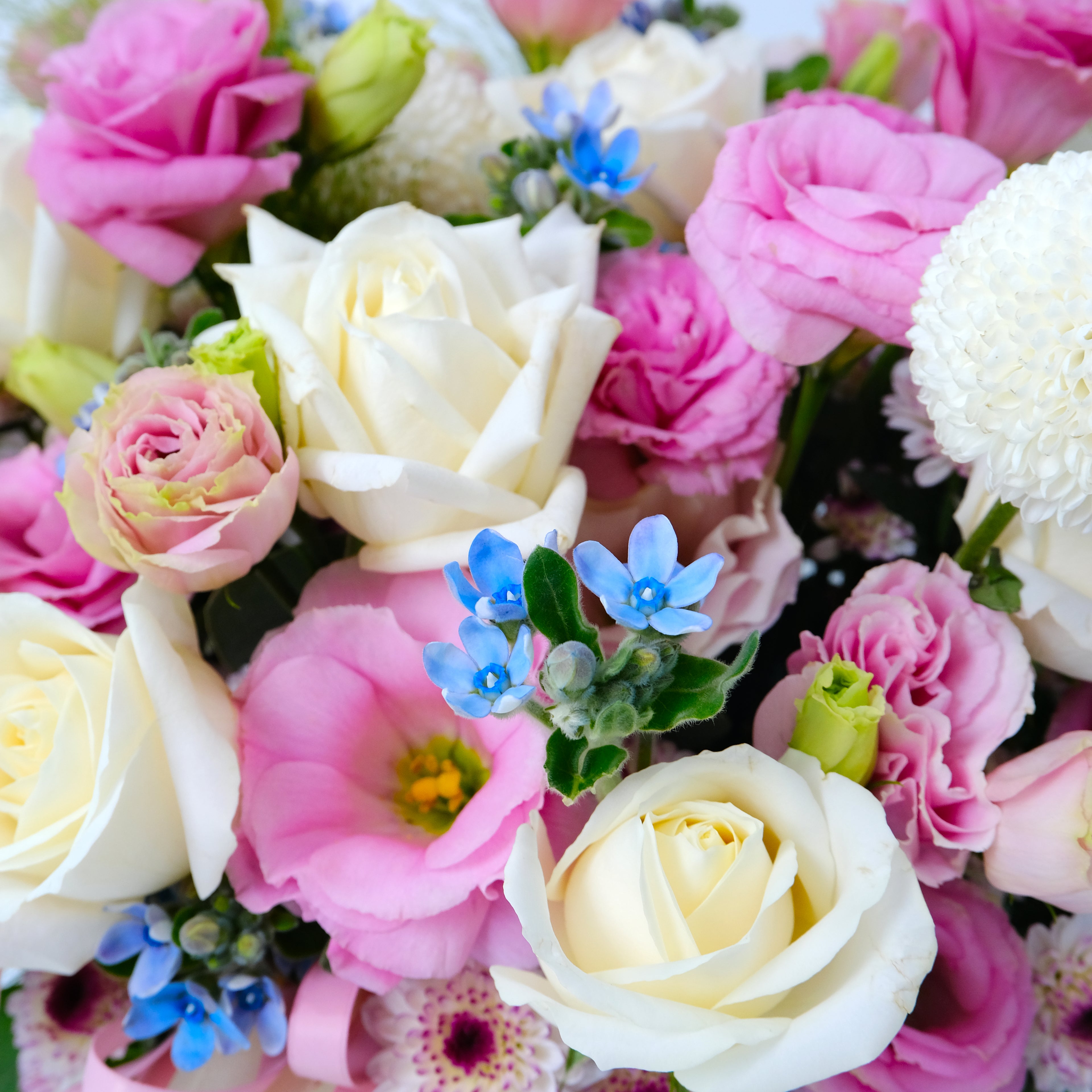 Close-up of a bouquet of pink, white, and blue flowers.