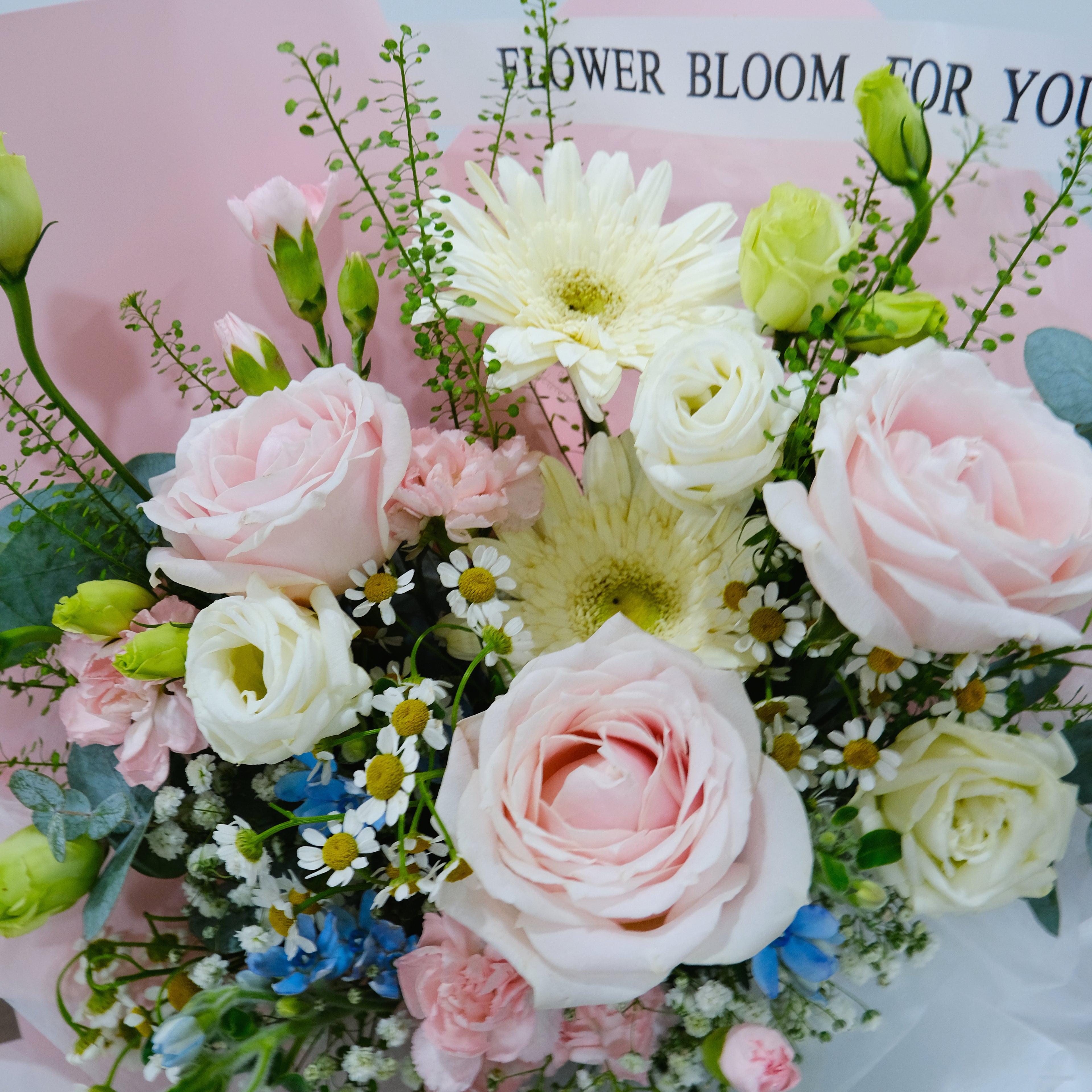 Bouquet of pink and white flowers with greenery on a pink background