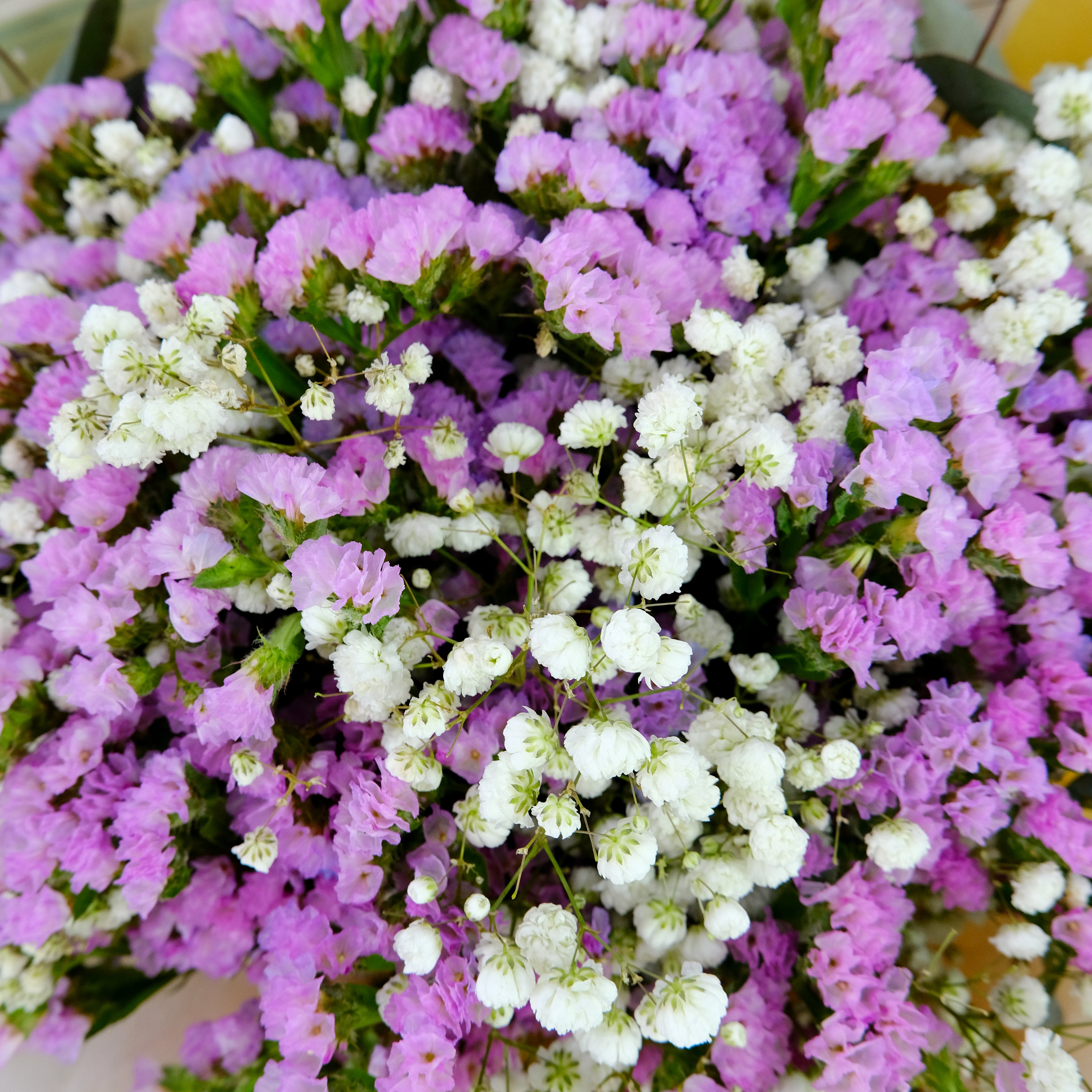 Haze Statice Bouquet