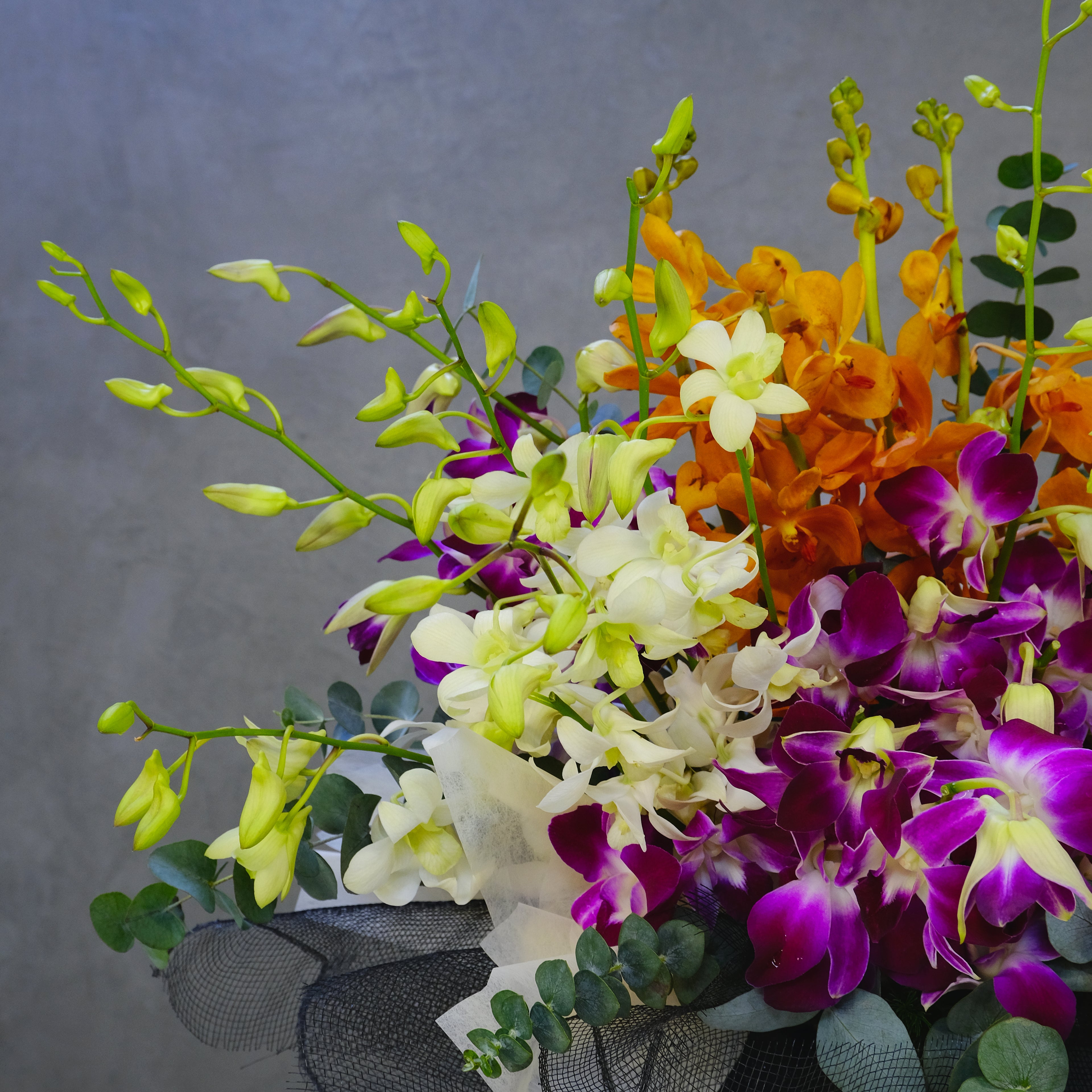 Bouquet of colorful orchids on a gray background