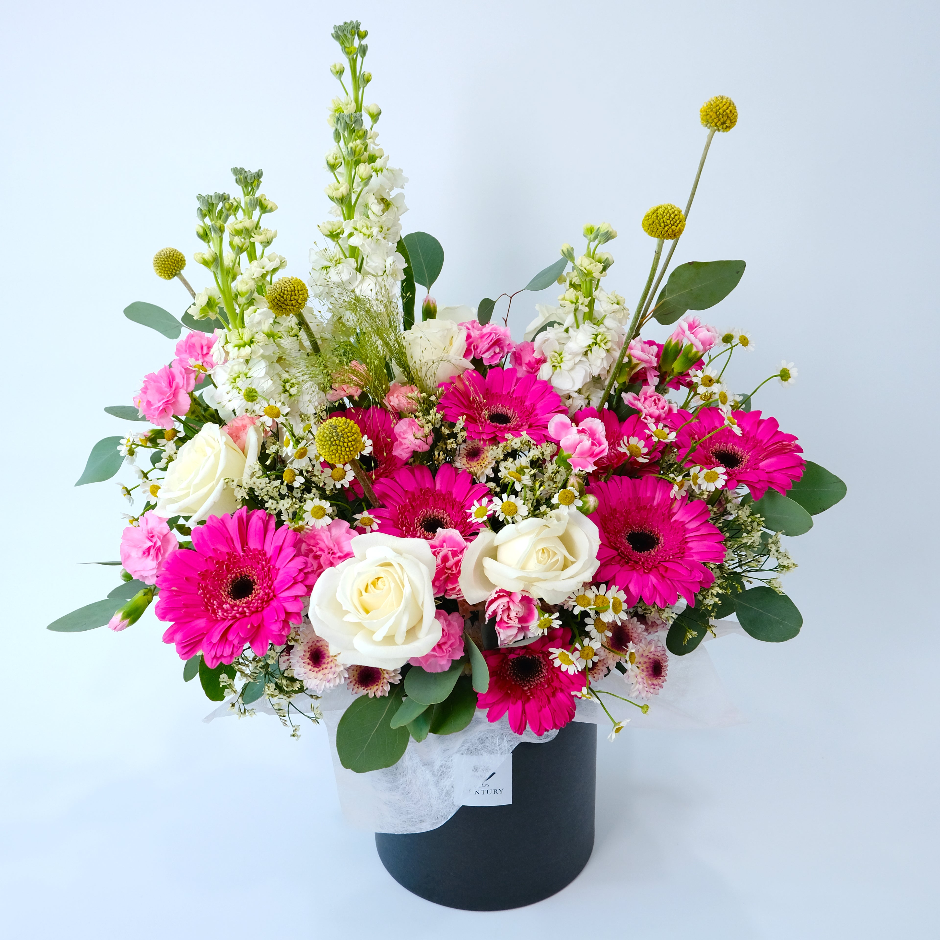 Bouquet of pink, white, and green flowers in a black container on a light blue background