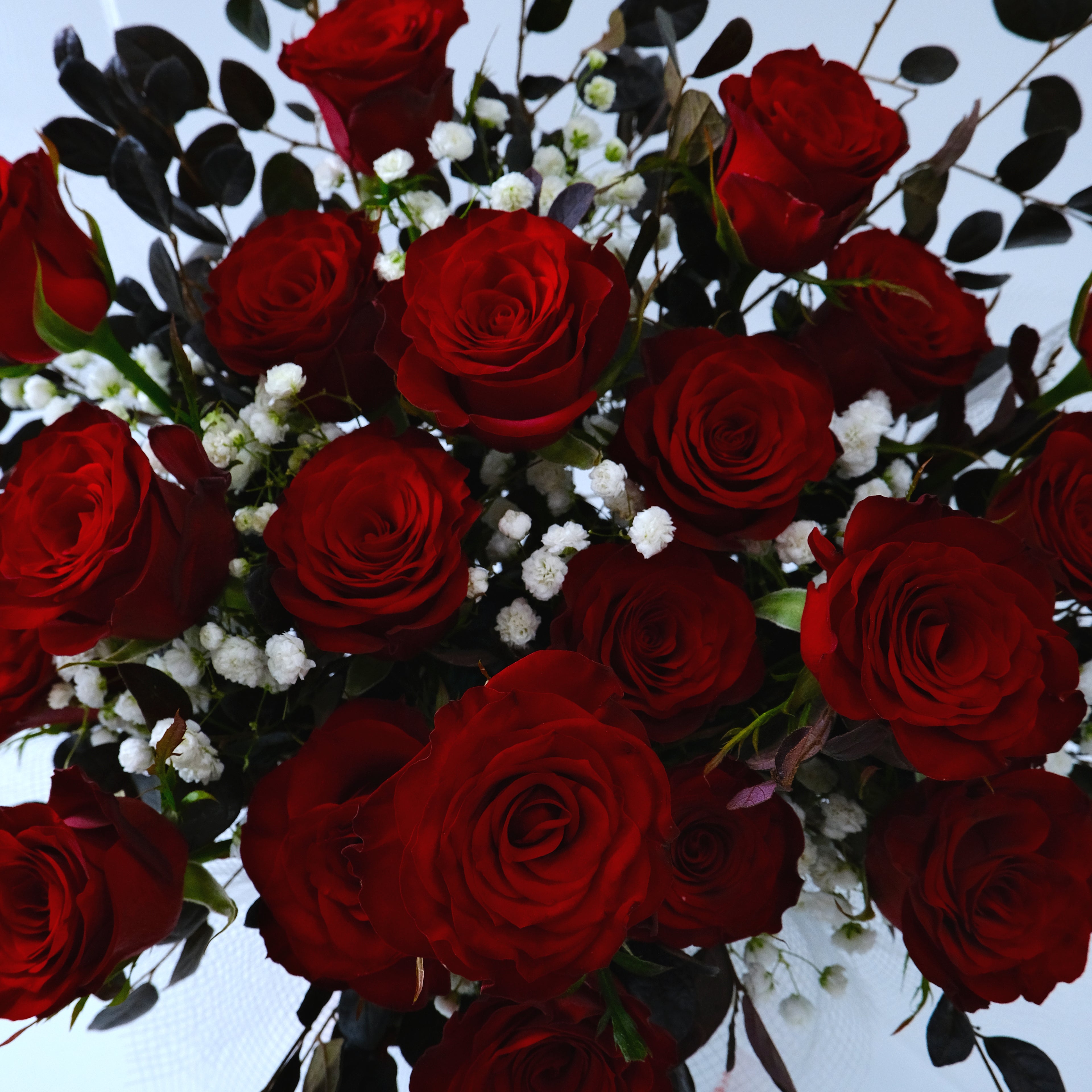 Bouquet of red roses with some greenery on a light background