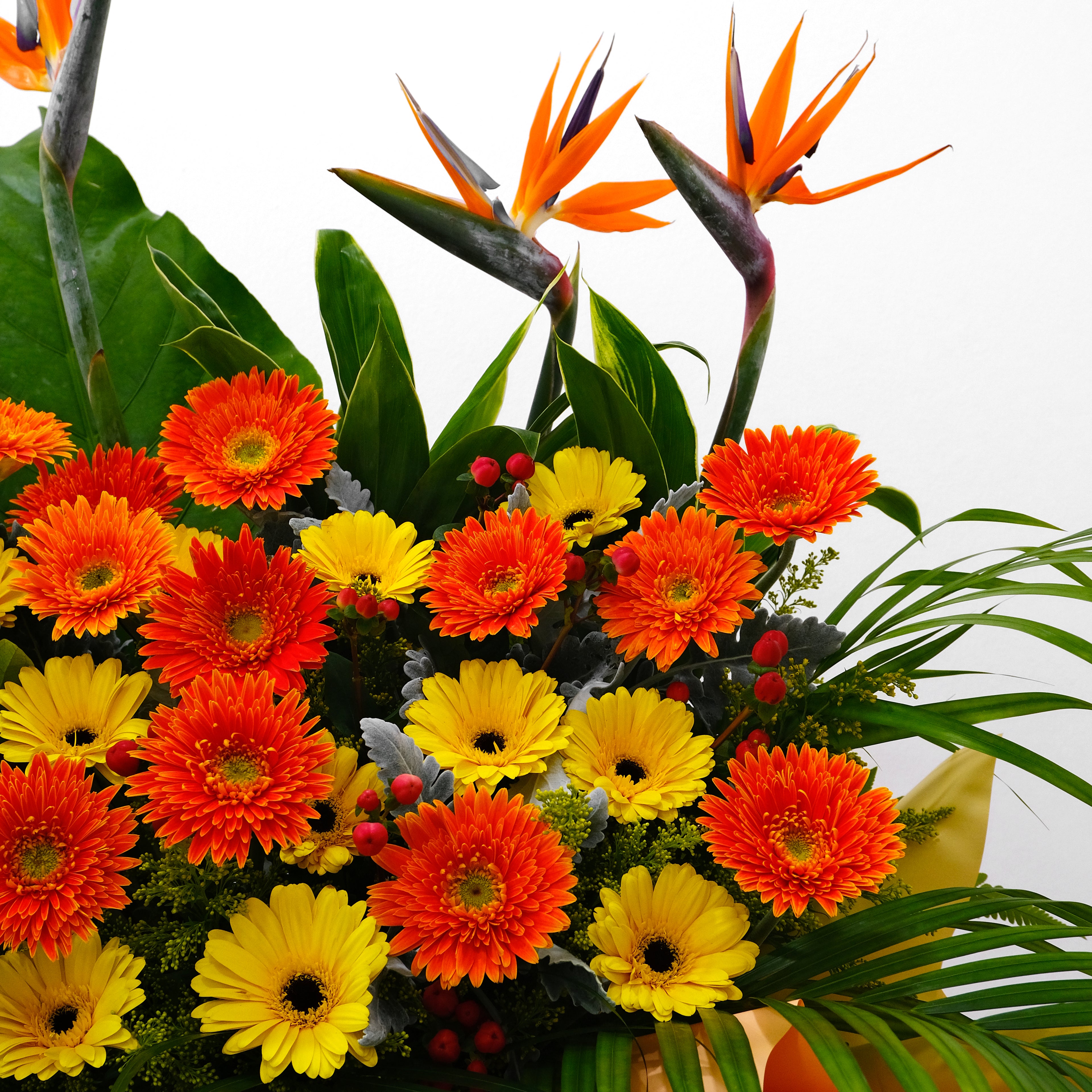 Grand opening flower stand featuring Bird of Paradise, orange gerberas, and palm leaves in a gold and orange designer wrap for luxury delivery in KL.