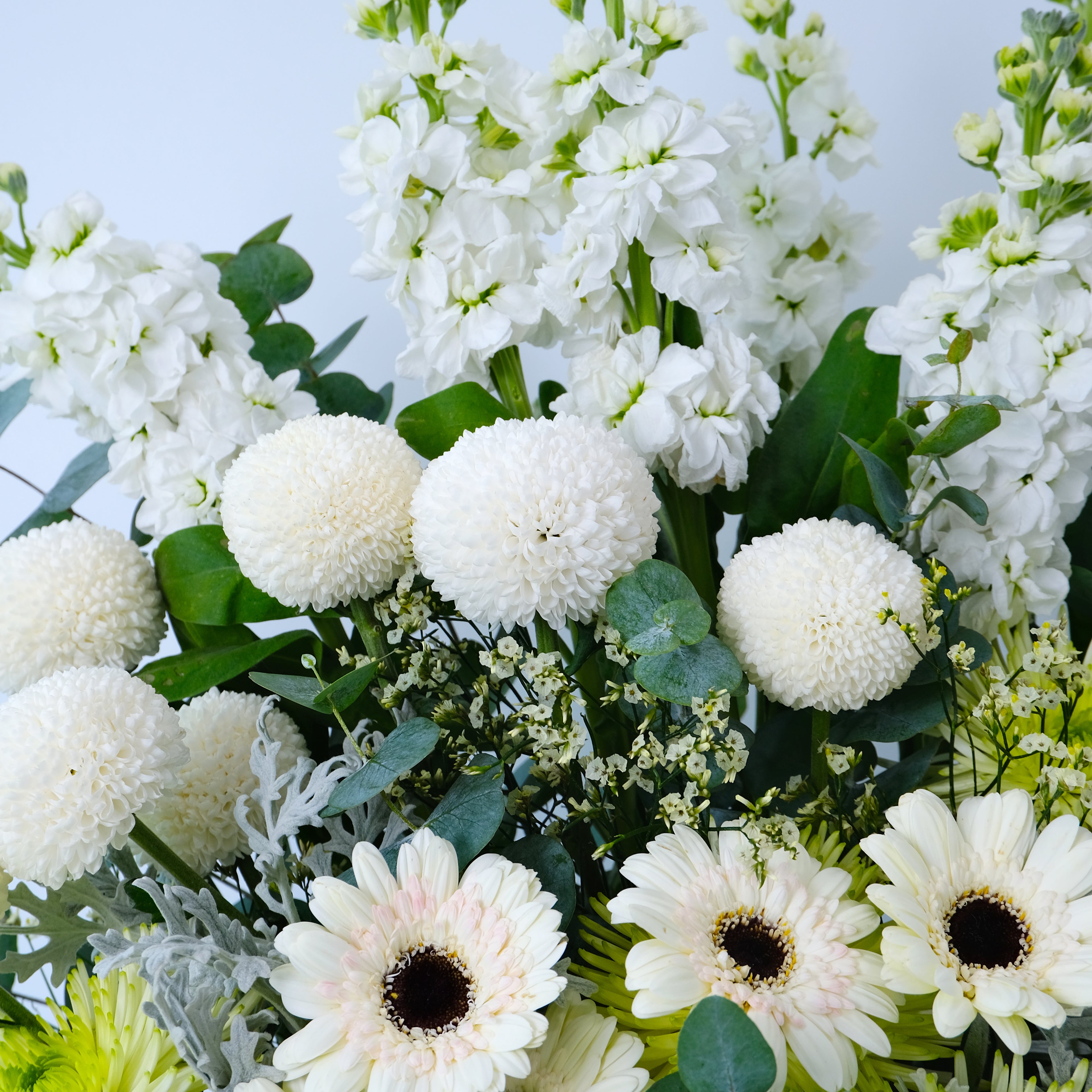 Bouquet of white and green flowers with a light blue background
