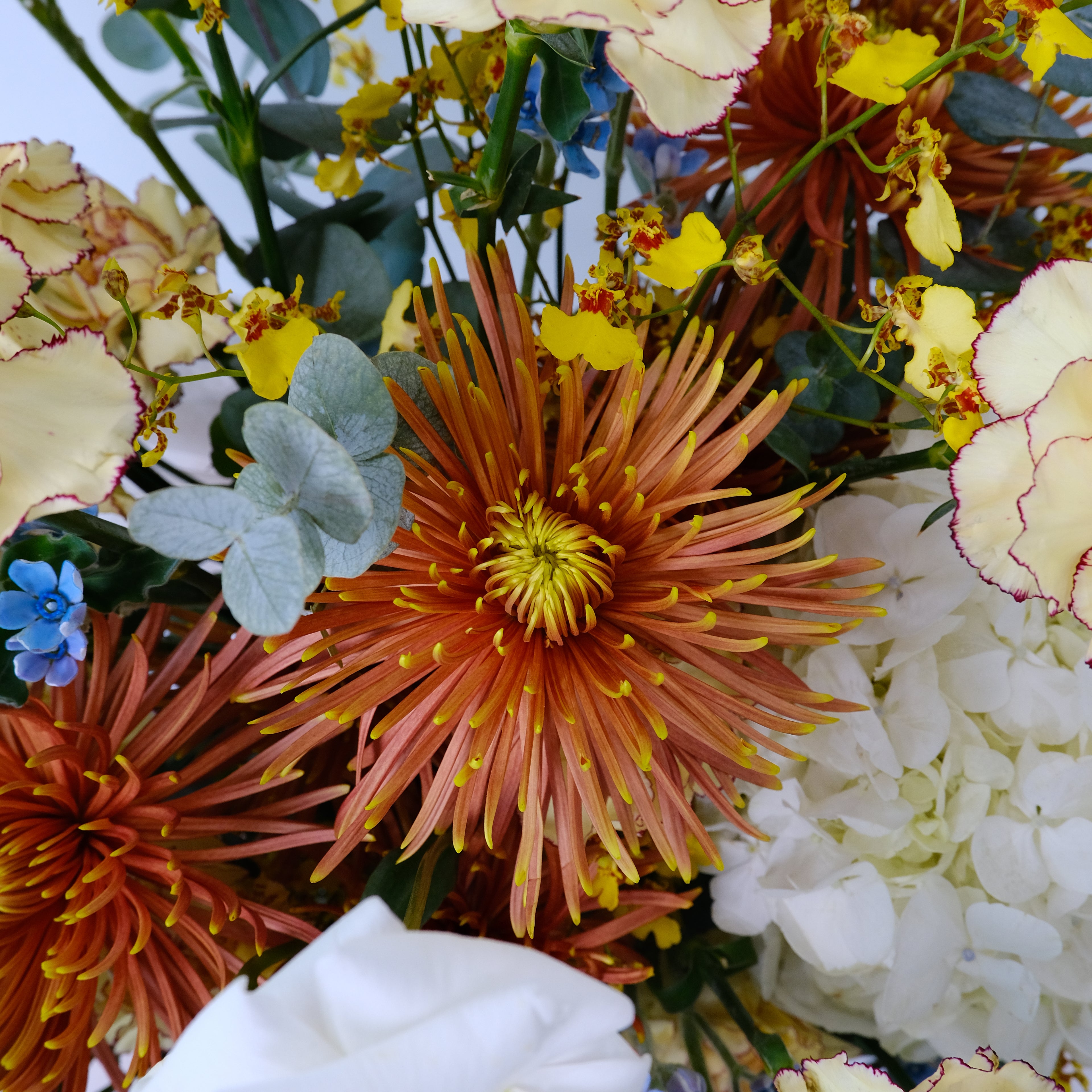Close-up of a vibrant bouquet of flowers with a white glove partially visible.
