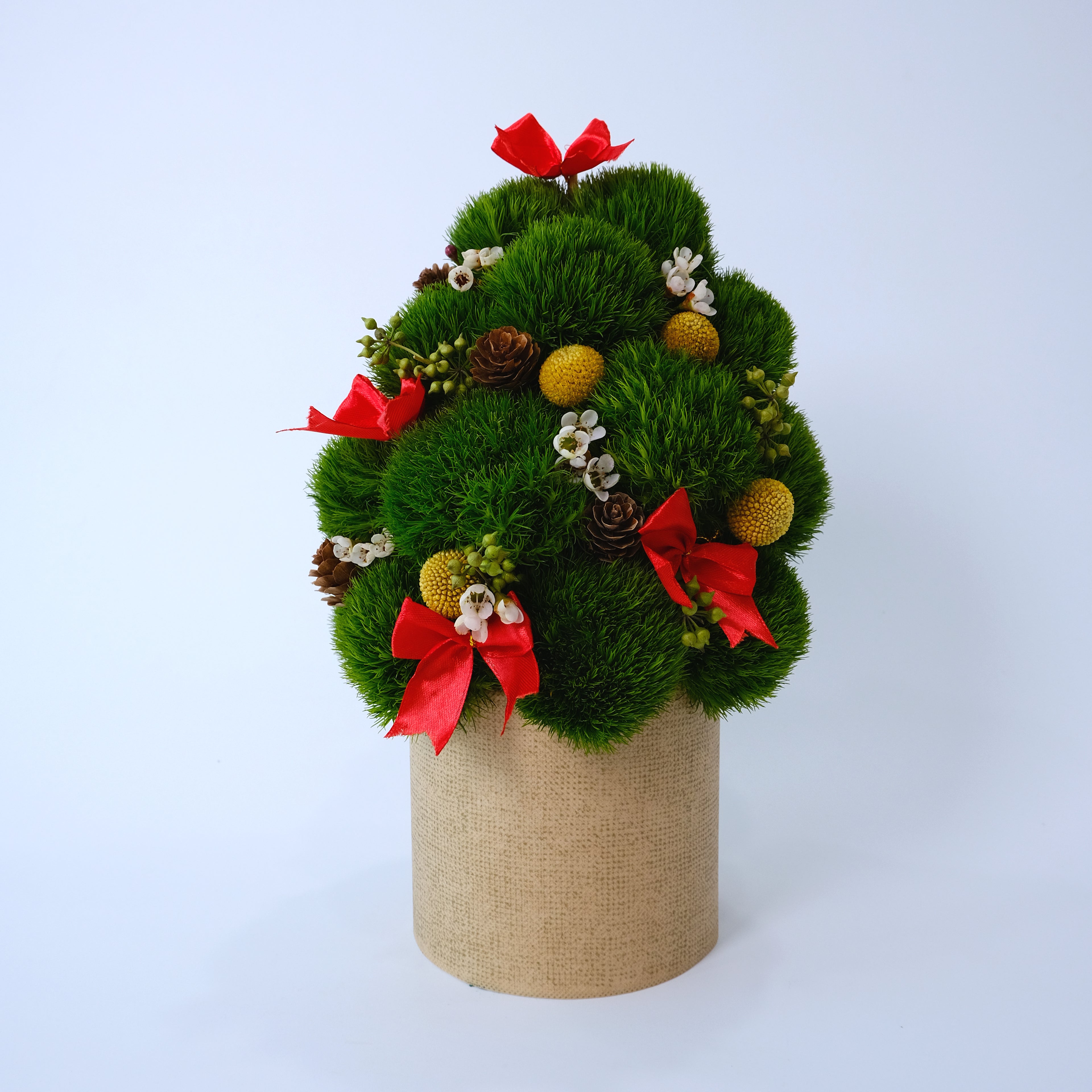 Decorative topiary with red ribbons and small flowers in a beige pot on a light blue background