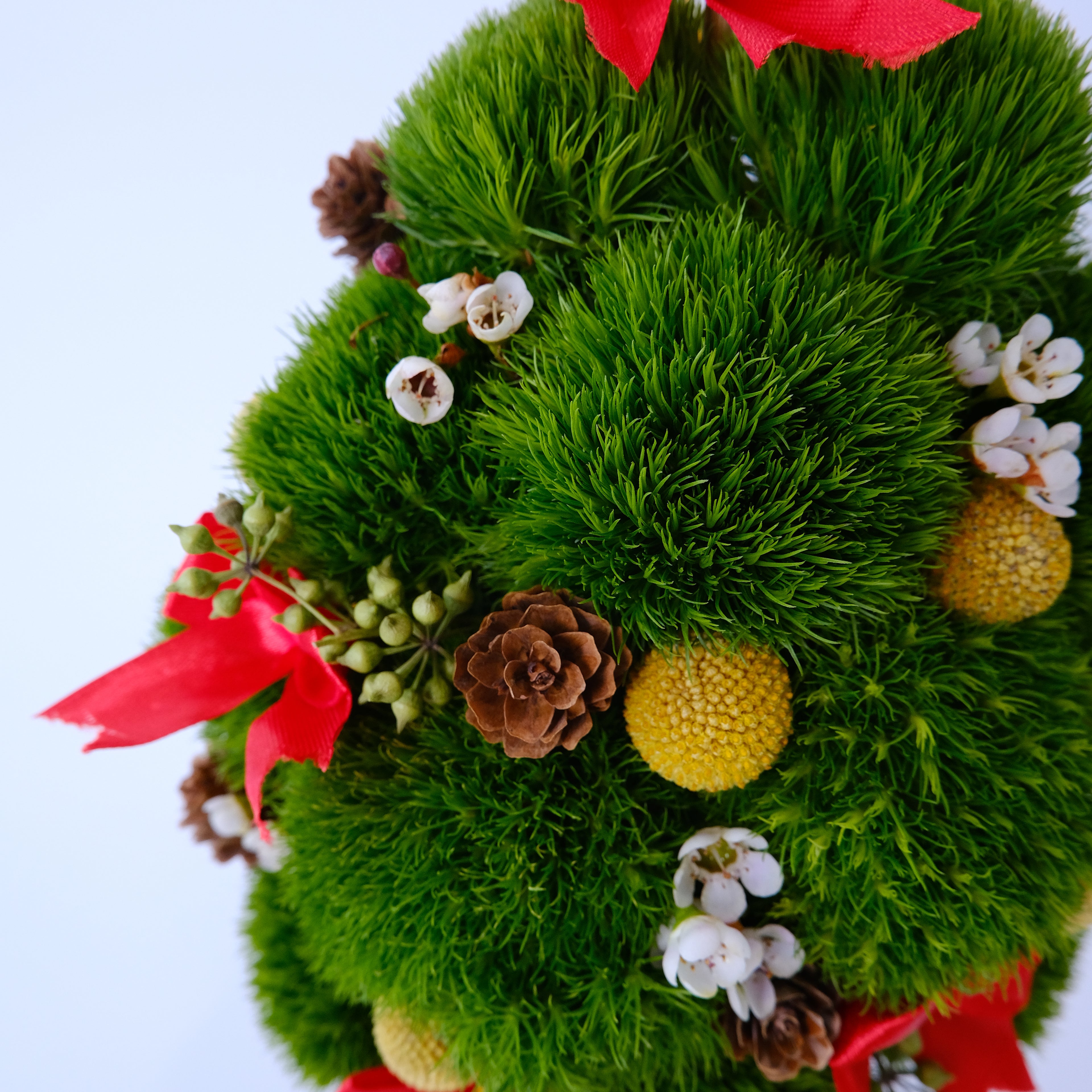 Moss ball with decorative elements including a red ribbon, pinecones, and small flowers on a light blue background.