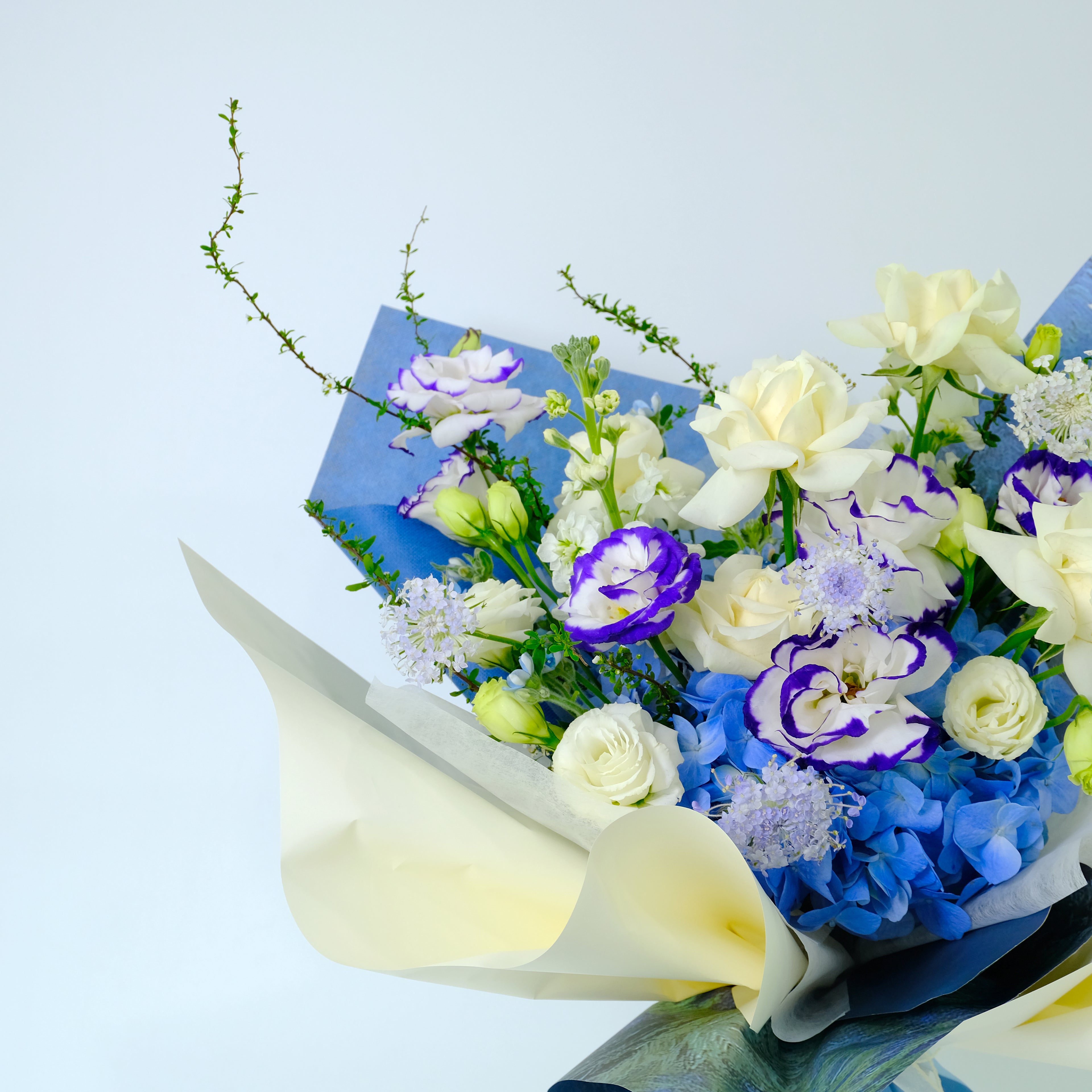 Premium Willow Bouquet featuring royal blue hydrangea, white roses, and blue-tipped lisianthus, wrapped in blue and cream paper for delivery in Kuala Lumpur.